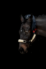 Load image into Gallery viewer, Atlas Equine Cranial Massager