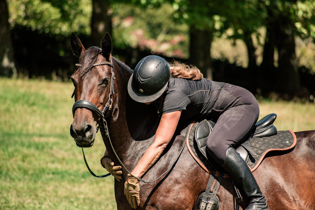 @nzmares Atlas Equine Massager Review