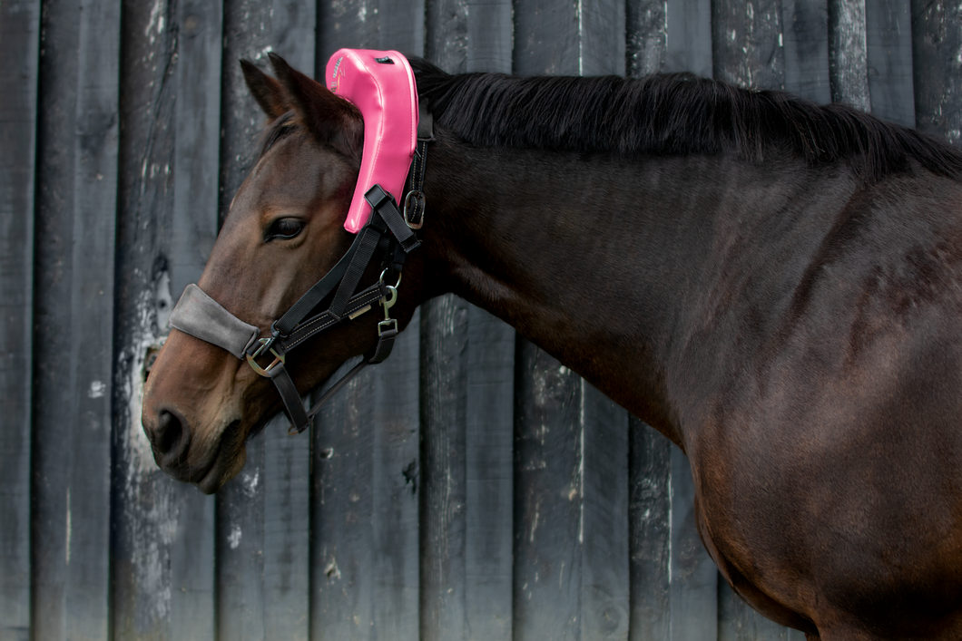 Atlas Equine Cranial Massager