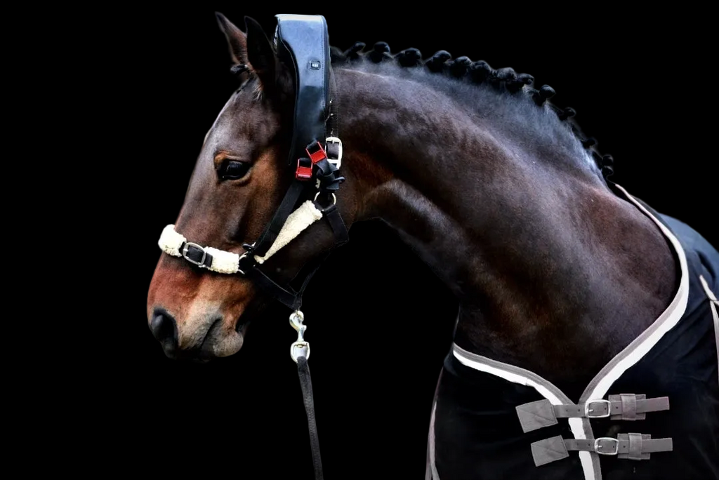 Trial Atlas Equine Massager Hire