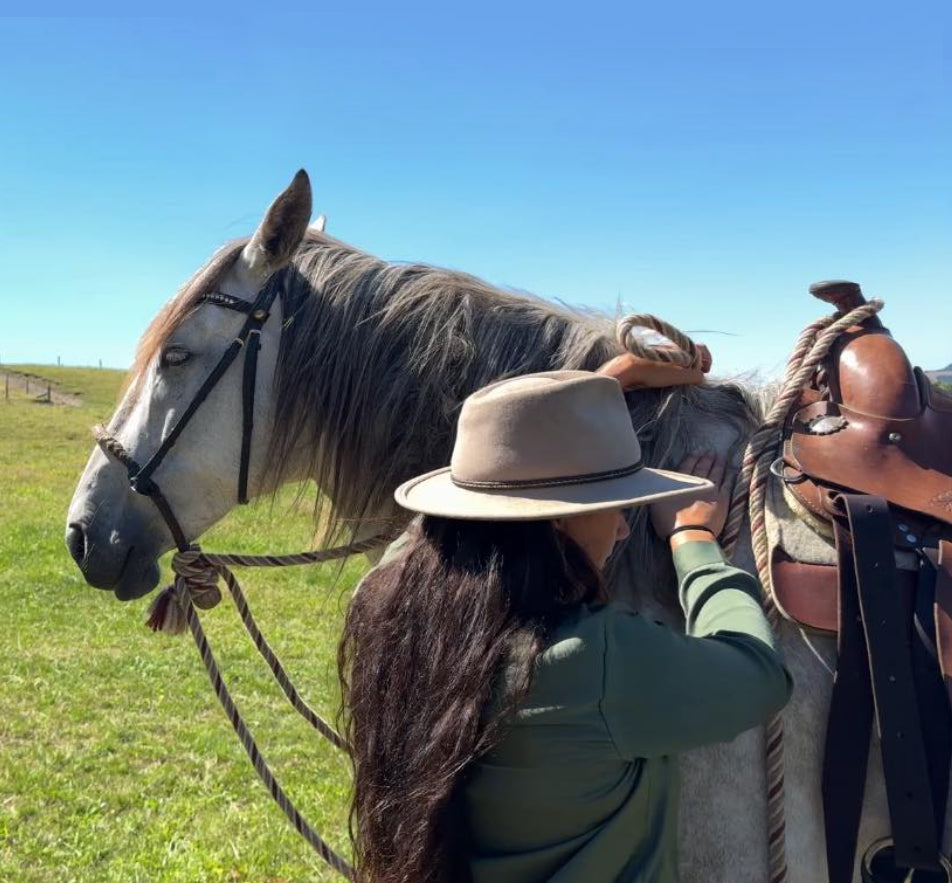 Start Your Own Horse Course