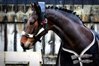 Trial Atlas Equine Massager Hire