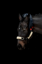 Load image into Gallery viewer, Atlas Equine Cranial Massager
